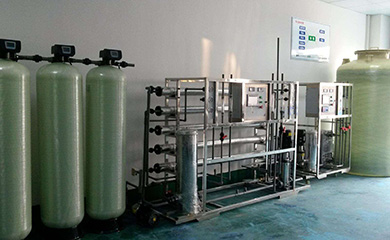 电去离子系统的作用是精除盐。在使用RO渗透水脱除97～99%离子的前提下，EDI可直接将反渗透产水提纯到纯水、高纯水、超纯水的标准，而无需使用离子交换混床，其产水的电阻率最高可达18MΩ·cm。