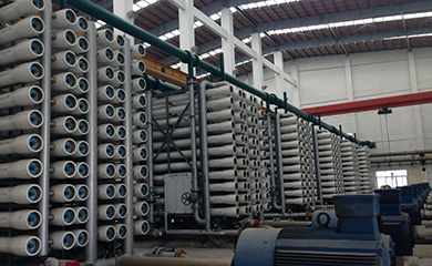 通过独特的设计，使进水通过填充有可再生树脂的淡水室，使水中杂质离子被树脂吸附，从而得到纯化水。而树脂在直流电场裂解水的作用下得到无污染的再生，因此保持活性。而释放的杂质离子将在直流电场的作用下，定向移动，通过离子选择膜进入浓水室被浓水带走。